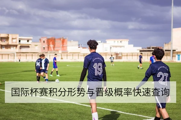 国际杯赛积分形势与晋级概率快速查询